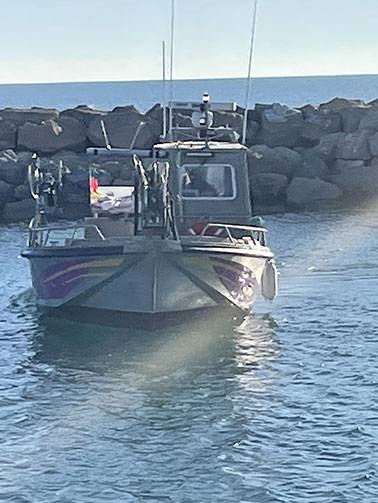 L'Amirauté - Restaurant Saintes Maries de la mer - restaurant Méditérranéen SAINTES-MARIES-DE-LA-MER