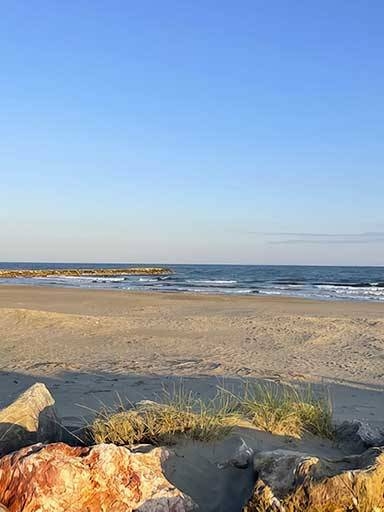 L'Amirauté - Restaurant Saintes Maries de la mer - Restaurant Saintes marie de la mer