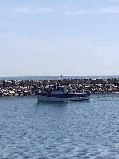 L'Amirauté - Restaurant Saintes Maries de la mer - La Camargue Restaurant